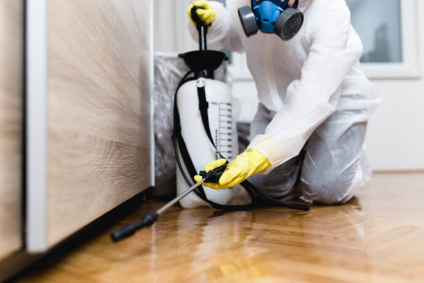 Best Exterminator Services  in Lechee, AZ