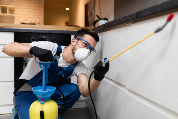 Best Residential Pest Control  in Lechee, AZ