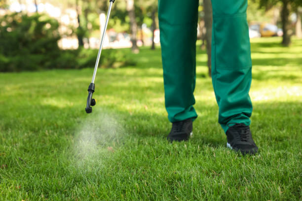 Best Ant Control Services  in Lechee, AZ