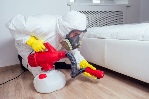 Best Emergency Pest Control  in Lechee, AZ