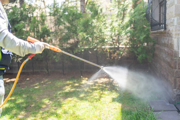 Flea Control Services in Lechee, AZ