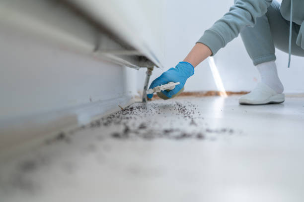 Best Pest Prevention Services  in Lechee, AZ