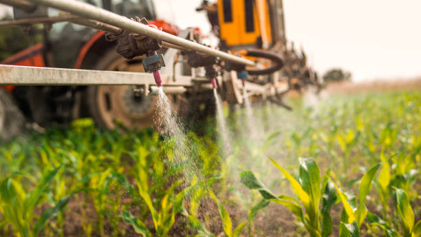 Best Mosquito Control Services  in Lechee, AZ